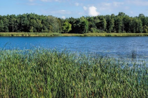 Parduodamas  sklypas Siesikų mstl., Ukmergės r. sav., 162.38 a ploto 1