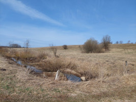 Parduodamas  sklypas Pociūnų k., Širvintų r. sav., 116 a ploto 12