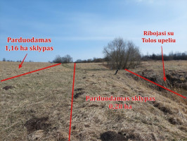 Parduodamas  sklypas Pociūnų k., Širvintų r. sav., 116 a ploto 17