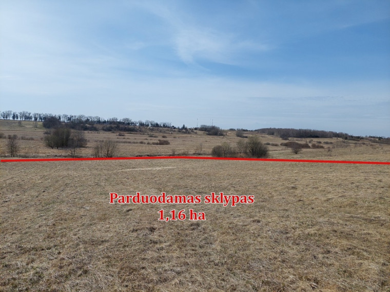 Parduodamas  sklypas Pociūnų k., Širvintų r. sav., 116 a ploto 20