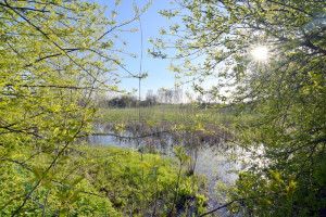 Parduodamas namas Naujųjų Alksnėnų k., Kalvarijos sav., 69.4 m2 ploto, 1 aukštai 17