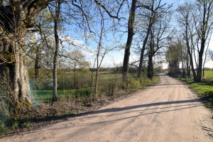 Parduodamas namas Naujųjų Alksnėnų k., Kalvarijos sav., 69.4 m2 ploto, 1 aukštai 19