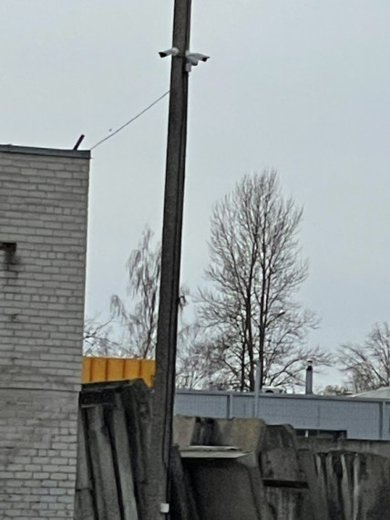 Nuomojamos patalpos-garažai Pakruojo g., Centre, Šiauliuose, 1461.22 kv.m ploto 17