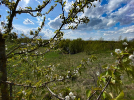 Parduodamas kitos paskirties sklypas Raipolio k., Trakų r. sav., 132.67 a ploto 10