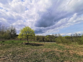 Parduodamas  sklypas Technikumo g., Aukštadvario mstl., Trakų r. sav., 280.15 a ploto 8