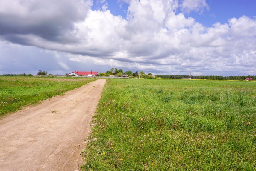 Parduodamas  sklypas Durpyno, Paežerio I k., Panevėžio r. sav., 17.9 a ploto 10