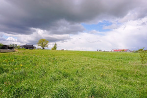 Parduodamas  sklypas Durpyno, Paežerio I k., Panevėžio r. sav., 17.9 a ploto 12