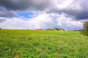Parduodamas  sklypas Durpyno, Paežerio I k., Panevėžio r. sav., 17.9 a ploto 13