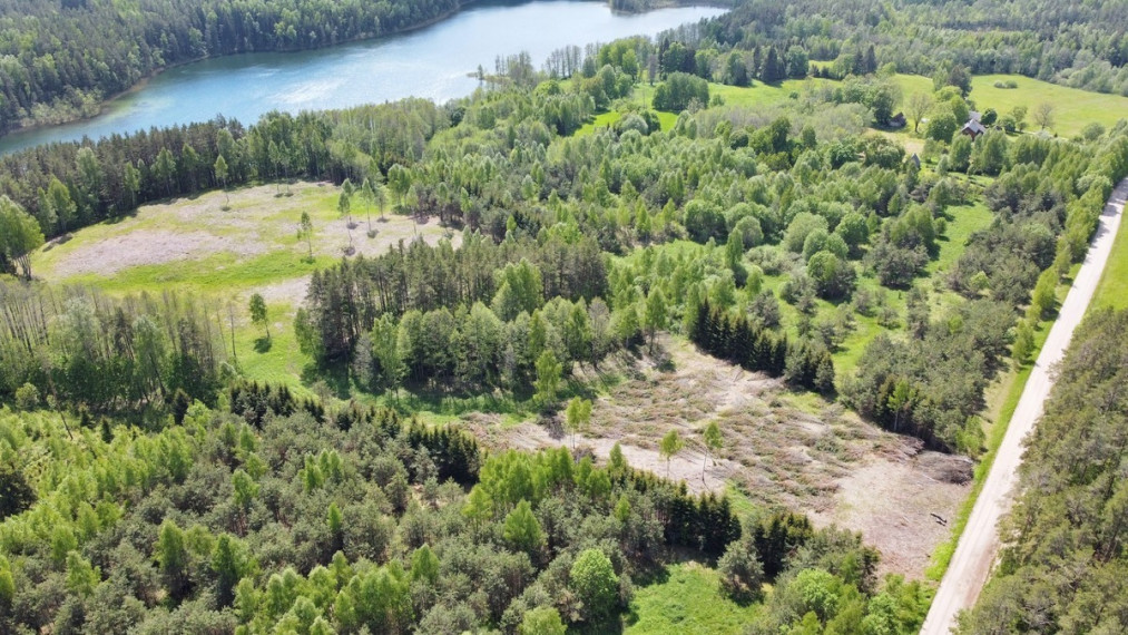 Parduodamas sklypas Savičiūnų k., Zarasų r. sav., 1025 a ploto 5