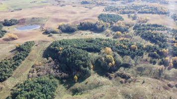Parduodamas žemės ūkio paskirties sklypas Naujoji g., Navasiolkų k., Elektrėnų sav., 3000 a ploto 11