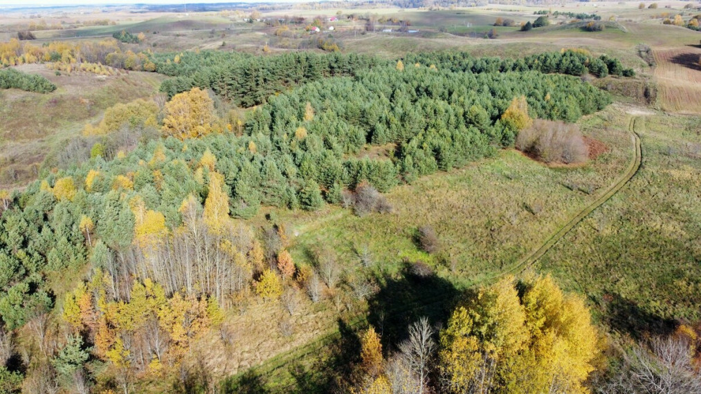 Parduodamas žemės ūkio paskirties sklypas Naujoji g., Navasiolkų k., Elektrėnų sav., 3000 a ploto 16