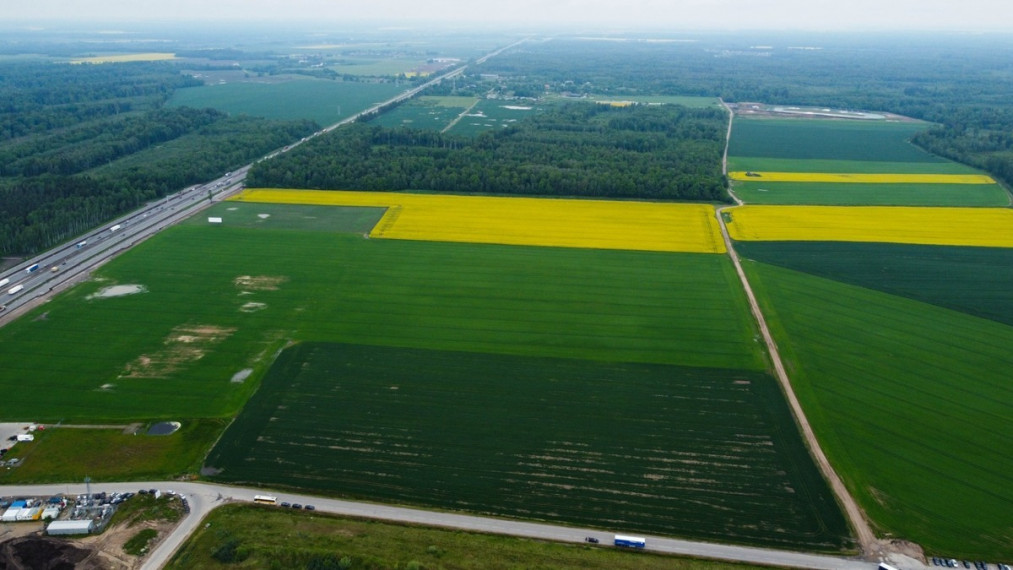 Parduodamas  sklypas Žemaitkiemio k., Kauno r. sav., 650 a ploto 4