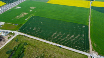 Parduodamas  sklypas Žemaitkiemio k., Kauno r. sav., 650 a ploto 6