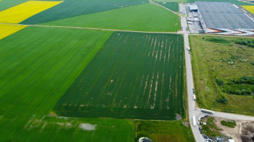 Parduodamas  sklypas Žemaitkiemio k., Kauno r. sav., 650 a ploto 7