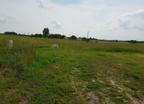 Parduodamas  sklypas Gudoniškių k., Vilniaus r. sav., 118.73 a ploto