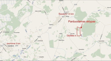 Parduodamas  sklypas Ūlyčėlių k., Širvintų r. sav., 1019 a ploto 10