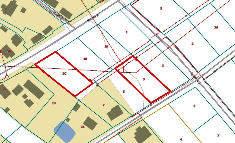 Parduodamas  sklypas Lygumų g., Neravų k., Druskininkų sav., 12.42 a ploto 9
