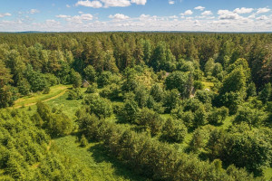Parduodamas kitos paskirties sklypas Parčevskių g., Vilkaraisčio k., Vilniaus r. sav., 15 a ploto 6