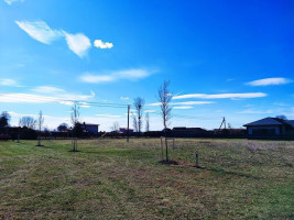 Parduodamas kitos paskirties sklypas Neravų g., Neravų k., Druskininkų sav., 12.52 a ploto 1