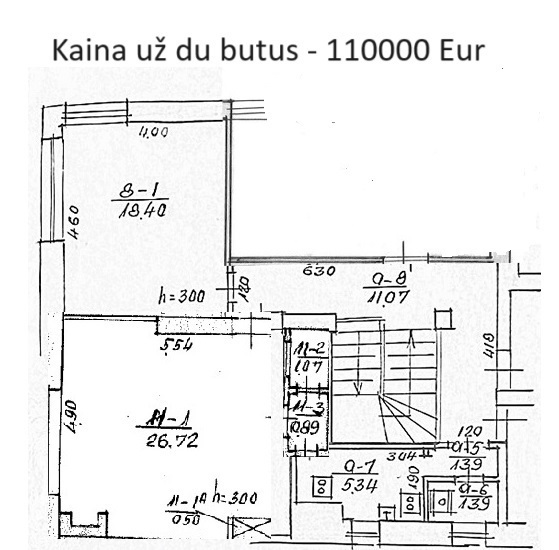 Parduodamas butas Vaidilutės g., Centras, Kauno m., Kauno m. sav., 23.86 m2 ploto, 1 kambariai 3