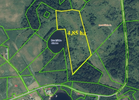 Parduodamas sklypas Budriškio k., Rokiškio r. sav., 485 a ploto Parduodamas sklypas Budriškio k., Rokiškio r. sav., 485 a ploto