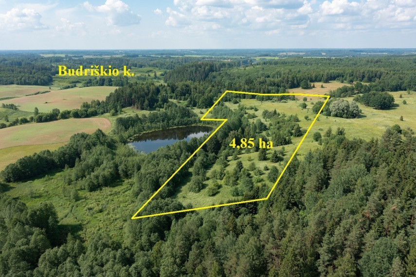 Parduodamas  sklypas Budriškio k., Rokiškio r. sav., 485 a ploto 3