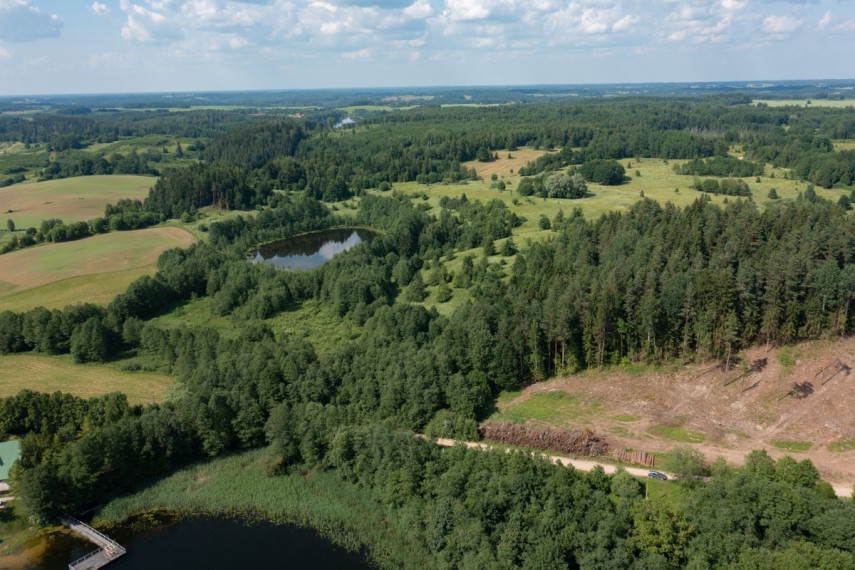 Parduodamas  sklypas Budriškio k., Rokiškio r. sav., 485 a ploto 4