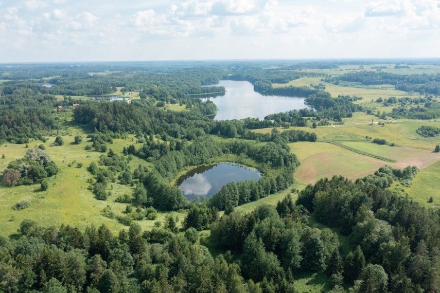Parduodamas  sklypas Budriškio k., Rokiškio r. sav., 485 a ploto 6