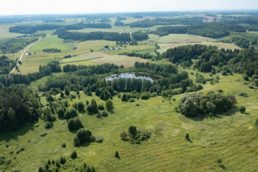 Parduodamas  sklypas Budriškio k., Rokiškio r. sav., 485 a ploto 8
