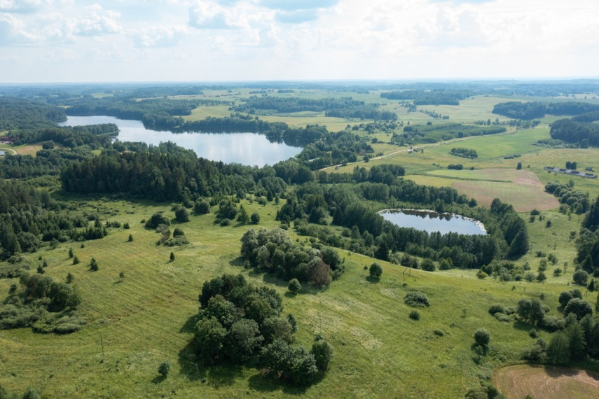 Parduodamas  sklypas Budriškio k., Rokiškio r. sav., 485 a ploto 9