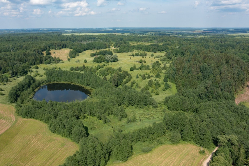 Parduodamas  sklypas Budriškio k., Rokiškio r. sav., 485 a ploto 10