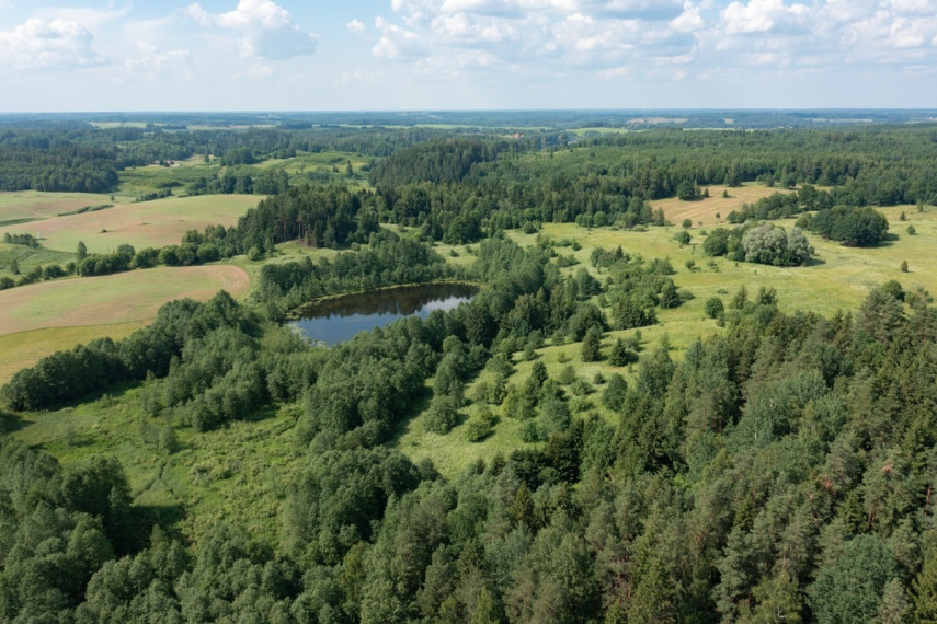 Parduodamas  sklypas Budriškio k., Rokiškio r. sav., 485 a ploto 12