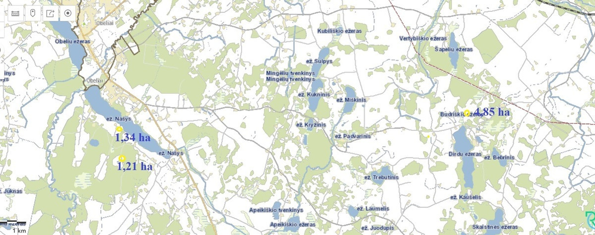 Parduodamas  sklypas Budriškio k., Rokiškio r. sav., 485 a ploto 14