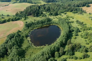 Parduodamas  sklypas Budriškio k., Rokiškio r. sav., 485 a ploto 9