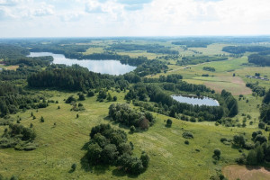 Parduodamas  sklypas Budriškio k., Rokiškio r. sav., 485 a ploto 11