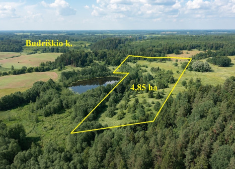 Parduodamas  sklypas Budriškio k., Rokiškio r. sav., 485 a ploto