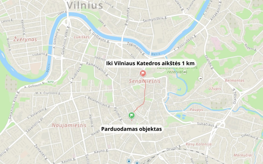 Parduodamas butas Šiaulių g., Senamiestis, Vilniaus m., Vilniaus m. sav., 204.88 m2 ploto, 4 kambariai 29