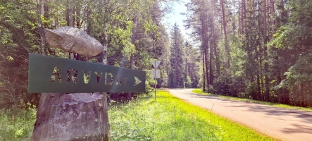 Parduodamas kitos paskirties sklypas Arvydų k., Vilniaus r. sav., 48 a ploto 1