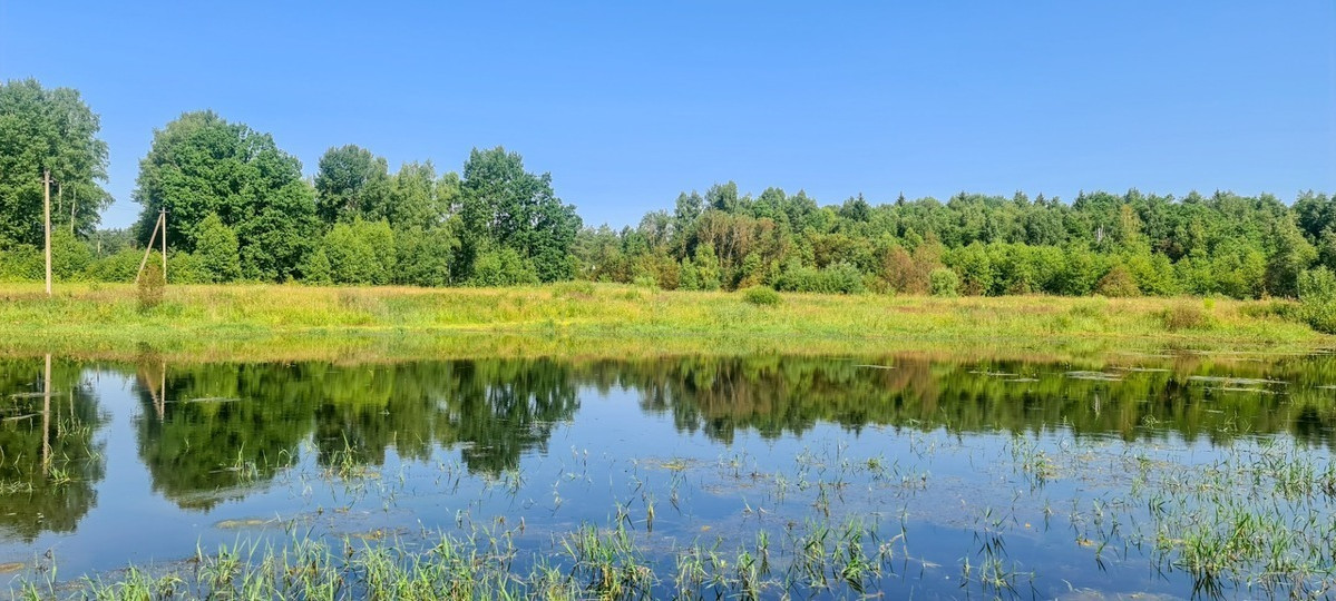 Parduodamas kitos paskirties sklypas Arvydų k., Vilniaus r. sav., 48 a ploto 3