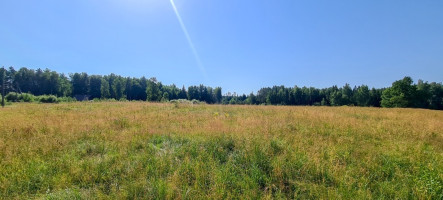 Parduodamas kitos paskirties sklypas Arvydų k., Vilniaus r. sav., 48 a ploto 5