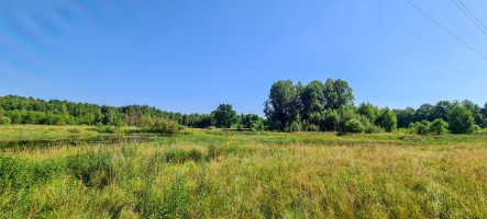 Parduodamas kitos paskirties sklypas Arvydų k., Vilniaus r. sav., 48 a ploto 6