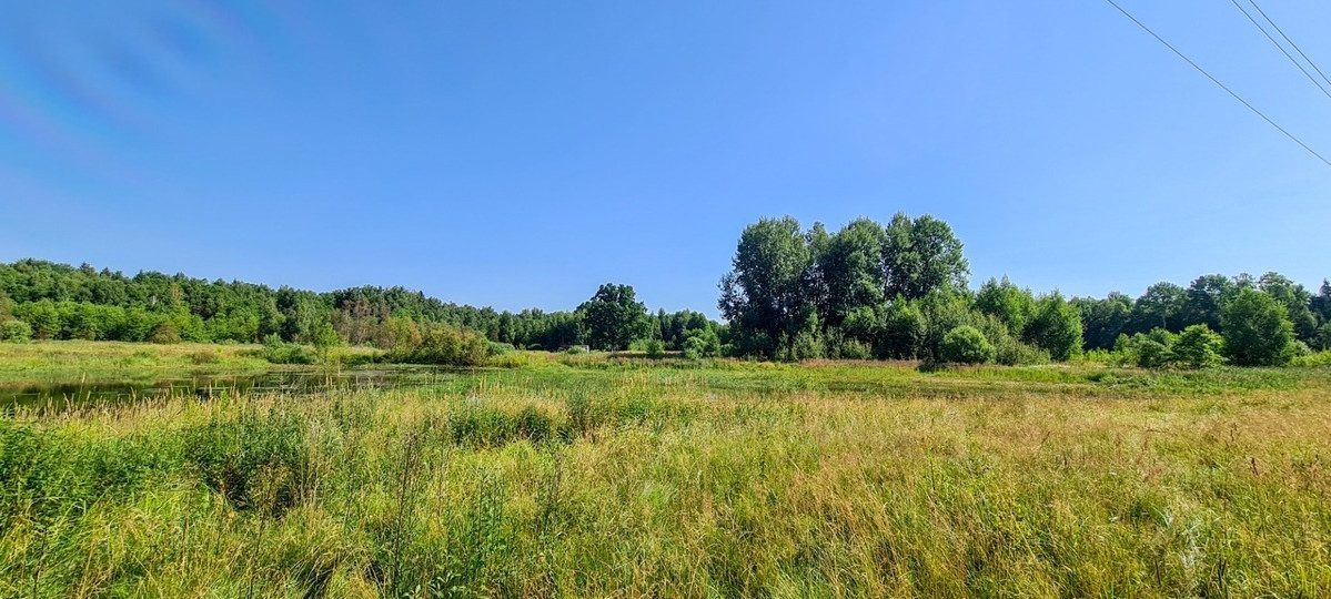 Parduodamas kitos paskirties sklypas Arvydų k., Vilniaus r. sav., 48 a ploto 6