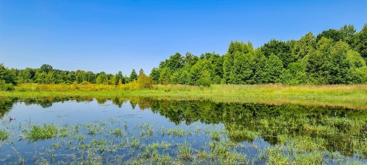 Parduodamas kitos paskirties sklypas Arvydų k., Vilniaus r. sav., 48 a ploto 7