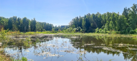 Parduodamas kitos paskirties sklypas Arvydų k., Vilniaus r. sav., 48 a ploto 8
