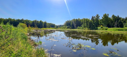 Parduodamas kitos paskirties sklypas Arvydų k., Vilniaus r. sav., 48 a ploto 9