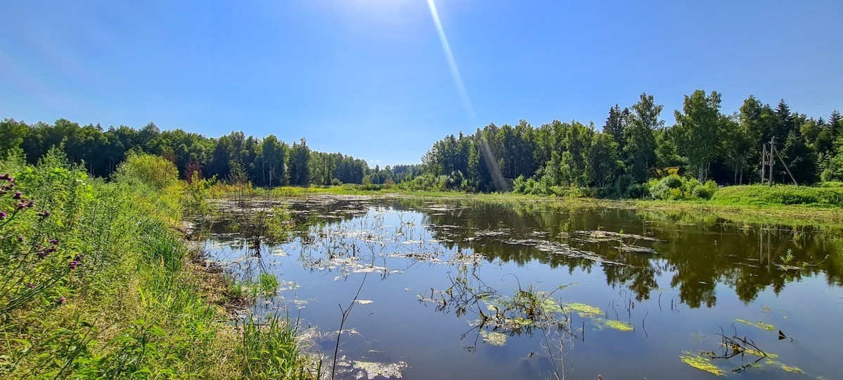 Parduodamas kitos paskirties sklypas Arvydų k., Vilniaus r. sav., 48 a ploto 9