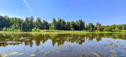 Parduodamas kitos paskirties sklypas Arvydų k., Vilniaus r. sav., 48 a ploto 10