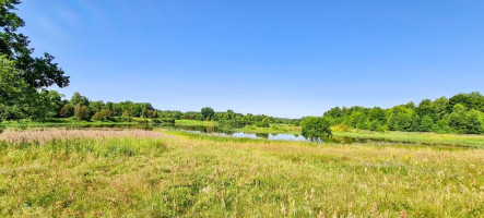 Parduodamas kitos paskirties sklypas Arvydų k., Vilniaus r. sav., 48 a ploto 13
