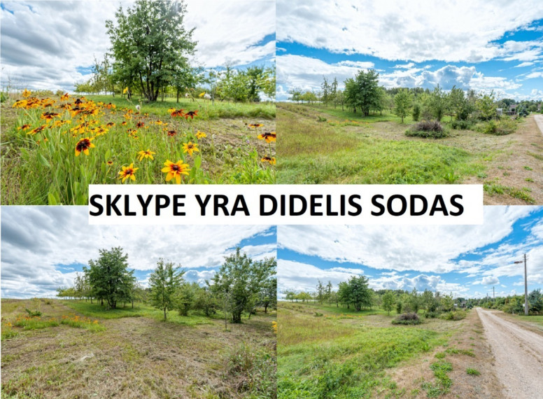 Parduodamas  sklypas Parko g., Bartkuškio k., Širvintų r. sav., 66.48 a ploto 7