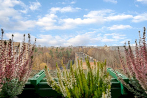 Parduodamas butas Laisvės pr., Pašilaičiai, Vilniaus m., Vilniaus m. sav., 77.38 m2 ploto, 3 kambariai 12